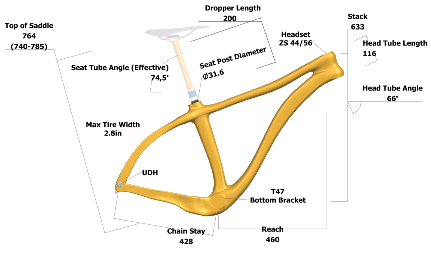 Large Hardtail Large Hardtail